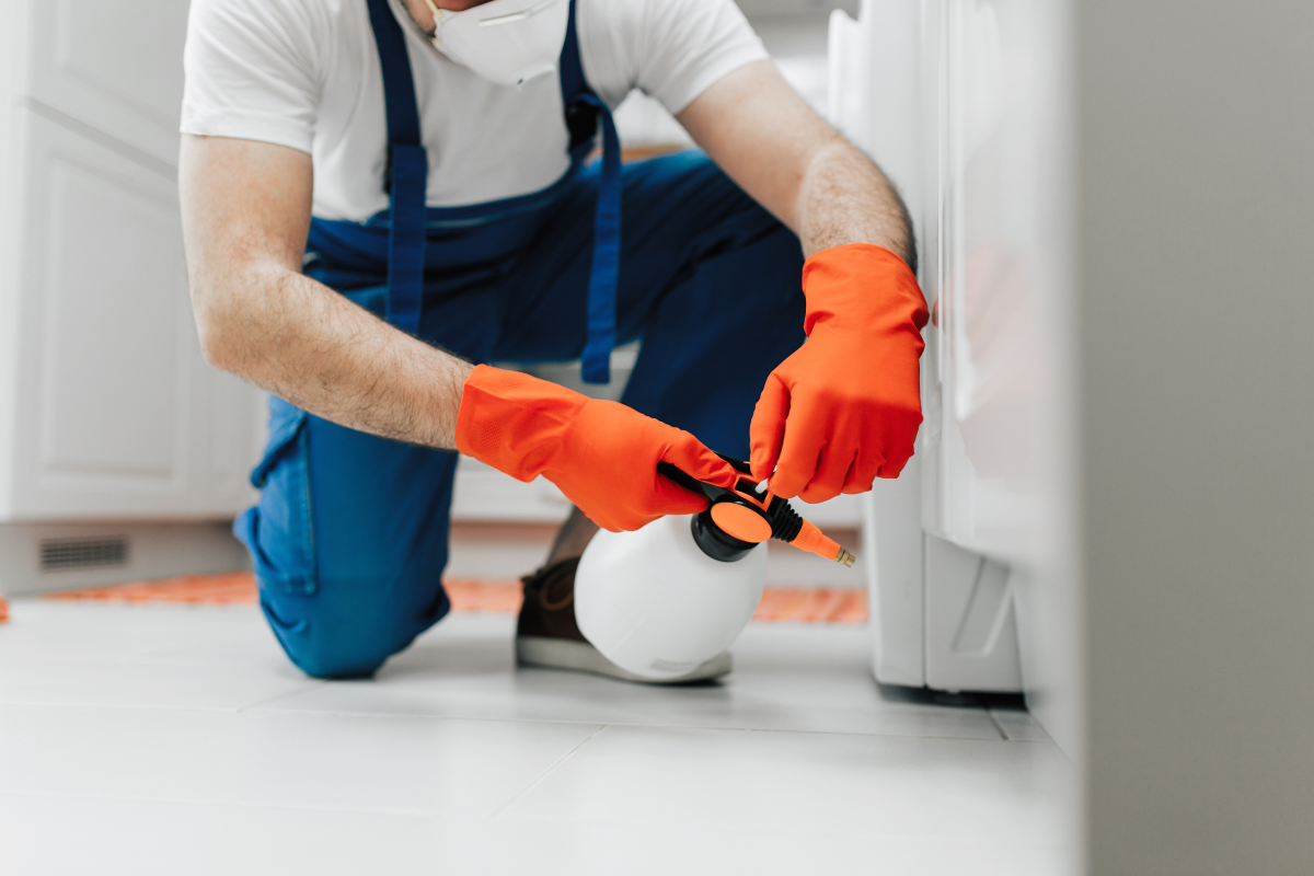 Mt. Vernon Pest Control Innovator Unveils EcoFriendly Solutions for